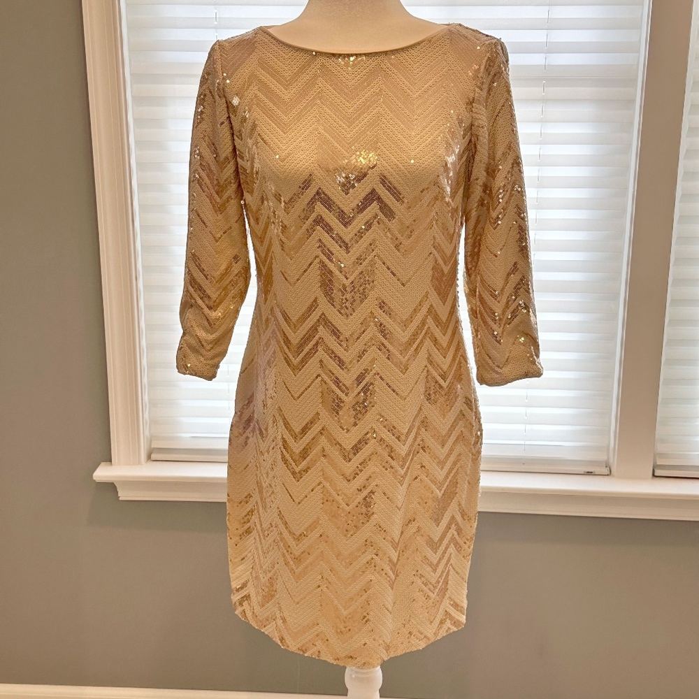 Vince Camuto Sequin Dress (Size 6)